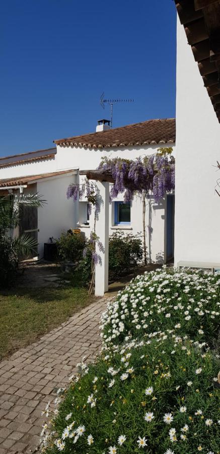 Le Mas Des Sagnes Saintes-Maries-de-la-Mer Buitenkant foto