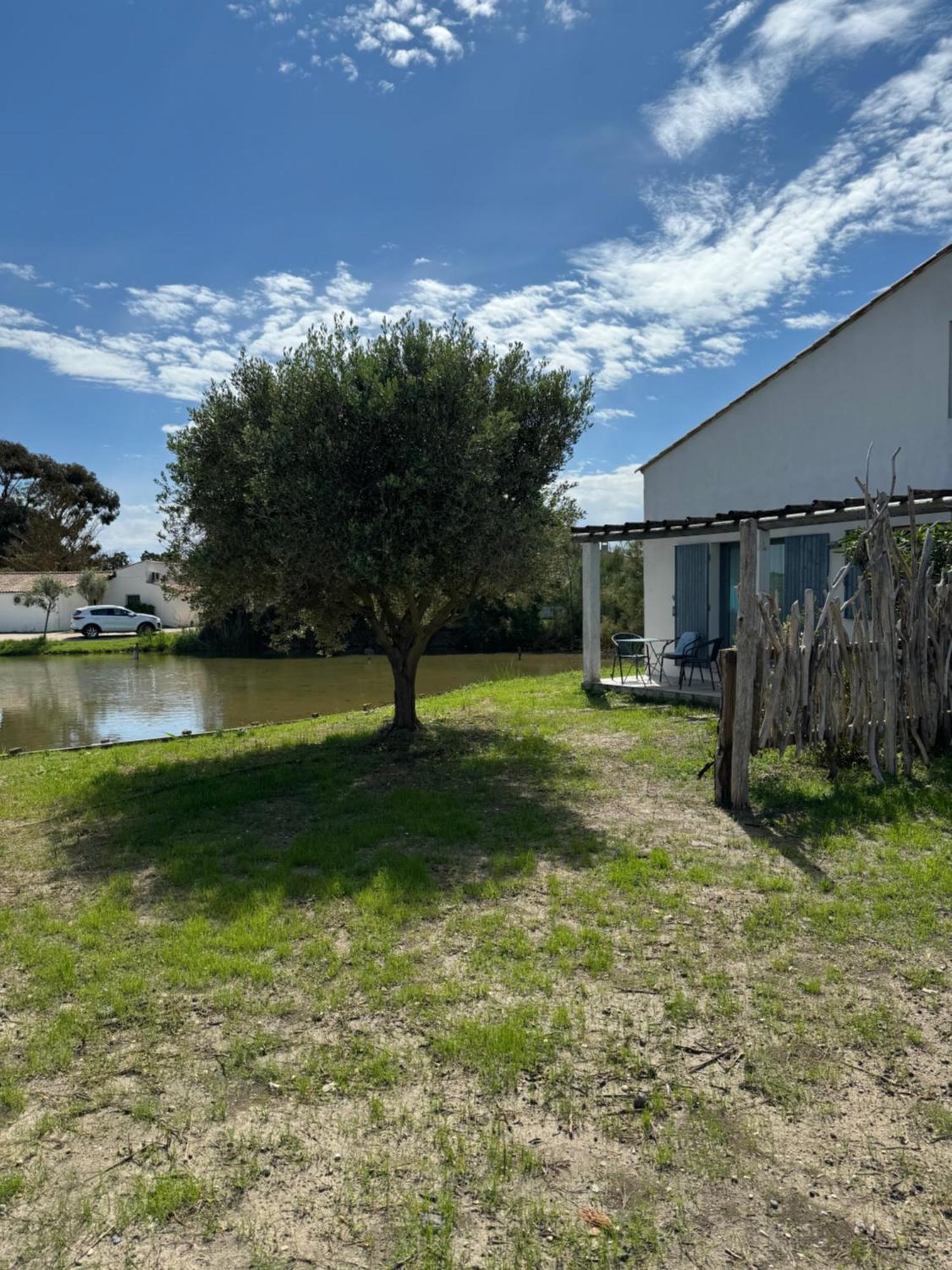 Le Mas Des Sagnes Saintes-Maries-de-la-Mer Buitenkant foto